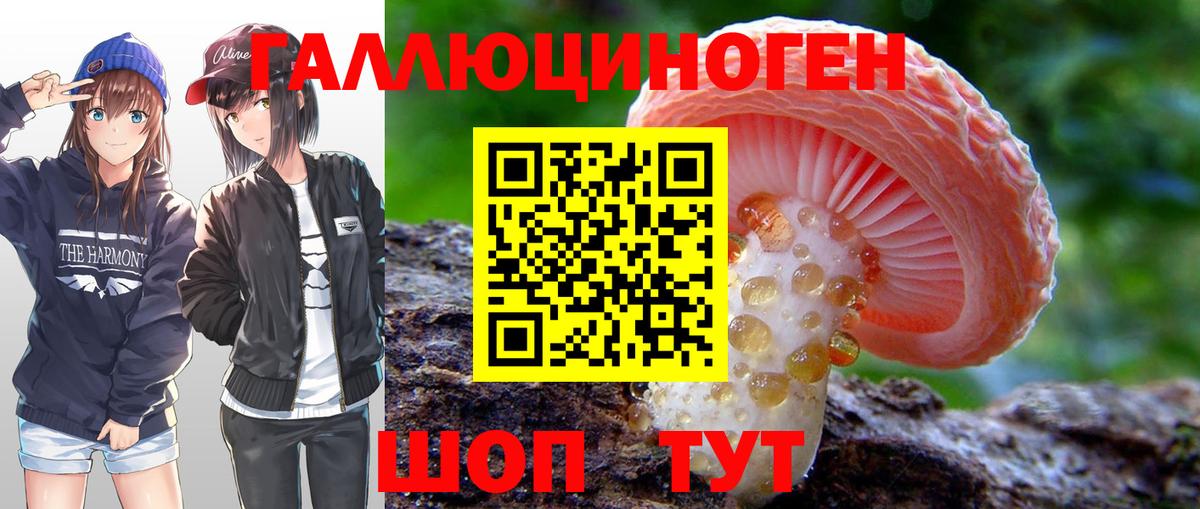Псилоцибиновые грибы Magic Shrooms  хочу   Заринск  Вход с VPN 